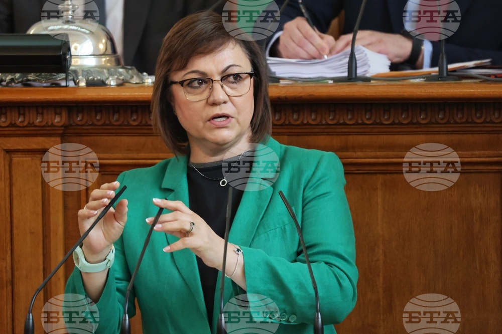 Парламент - заседание - Корнелия Нинова