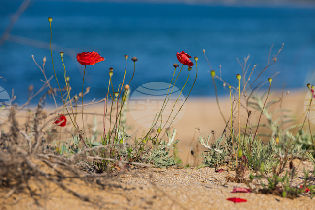 Прогноза за времето