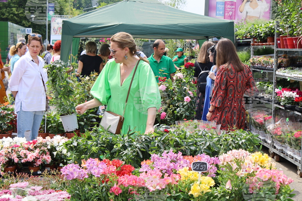 The Flower Fest