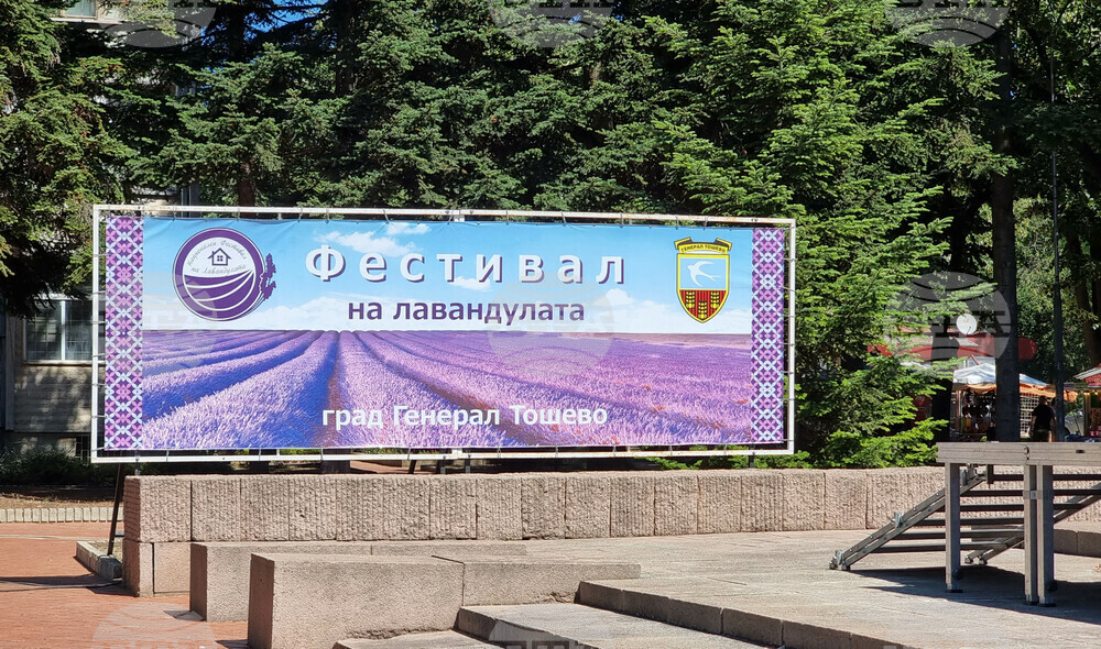 Фестивал на лавандулата ще се проведе през юни в Генерал Тошево