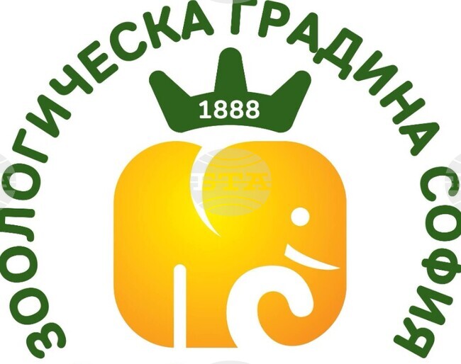 Софийската зоологическа градина разполага с най-добрите условия на Балканите за отглеждане на животни от видовете големи котки и примати, съобщи директорът Добромир Бориславов