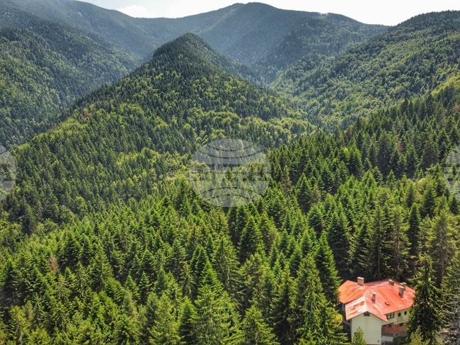 Прогноза за времето