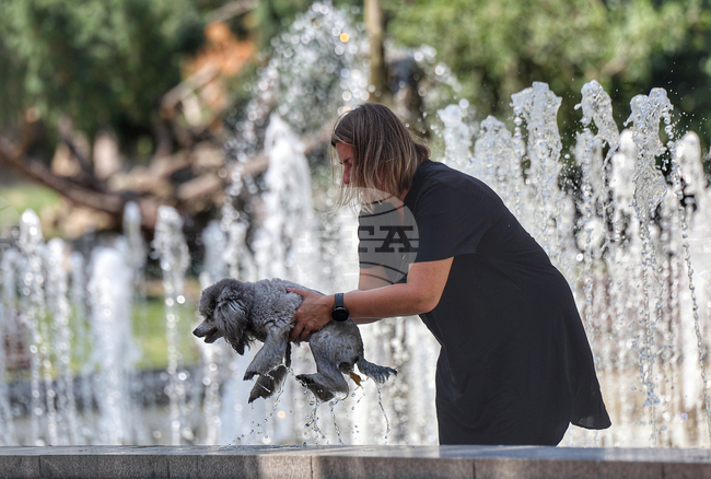 Прогноза за времето