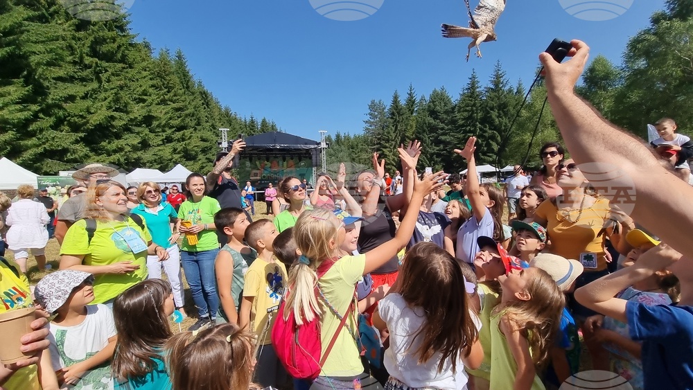 Eighth Edition of Uzana Meadow Fest Starts near Gabrovo