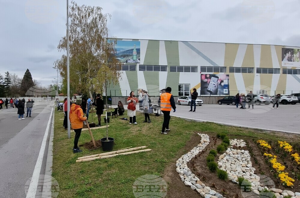 Сто японски вишни засадиха доброволци в благоевградския парк „Македония“