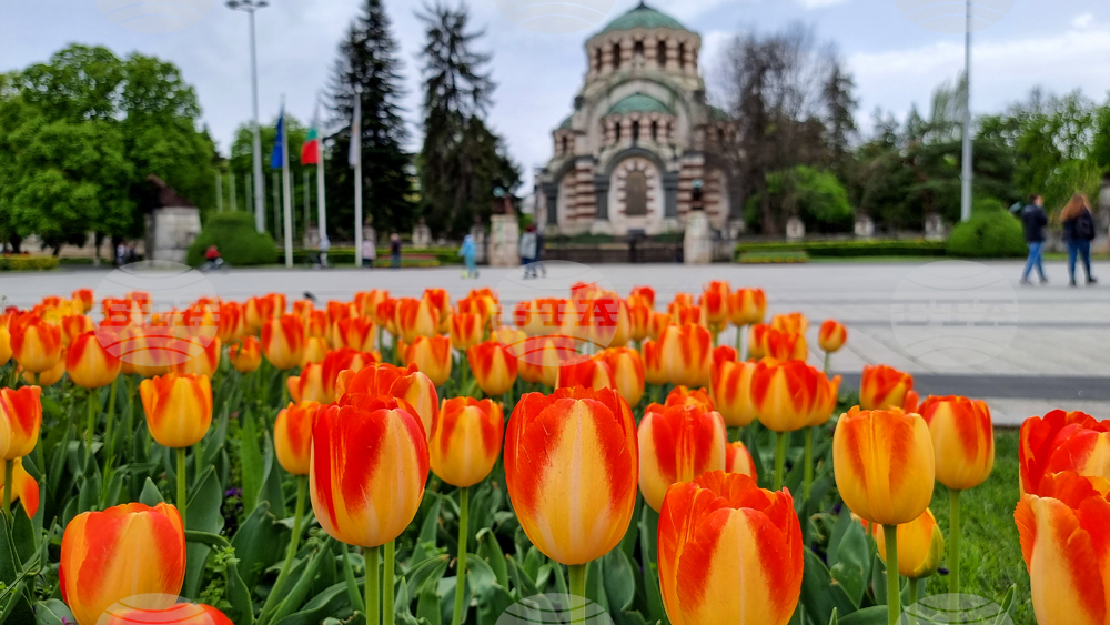 Прогноза за времето