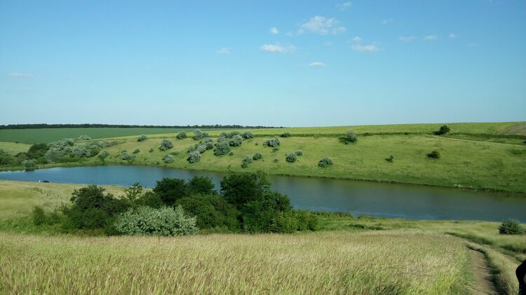 The dam in Silistrensko has dead volume, but this does not threaten drinking and household water supplies in the region, says Ivelin Nikov