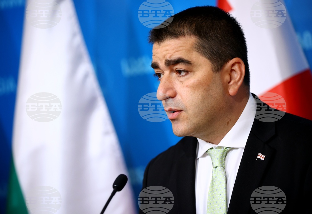 Председателят на грузинския парламент заяви, че управляващата партия е поискала от съда да забрани трите най-големи опозиционни блока