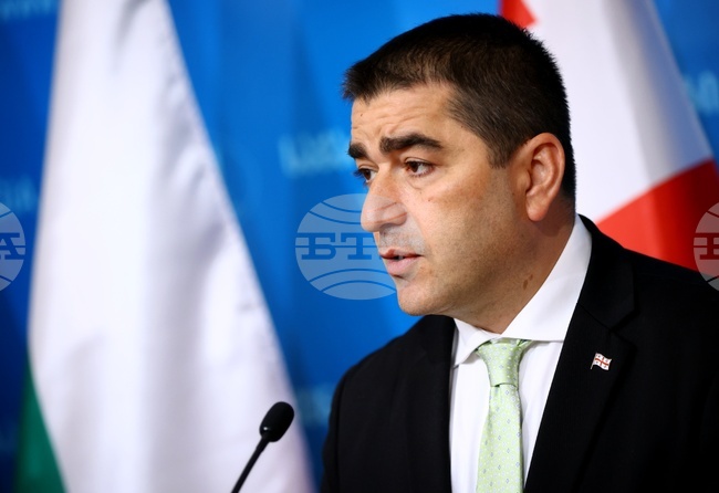 Председателят на грузинския парламент заяви, че управляващата партия е поискала от съда да забрани трите най-големи опозиционни блока