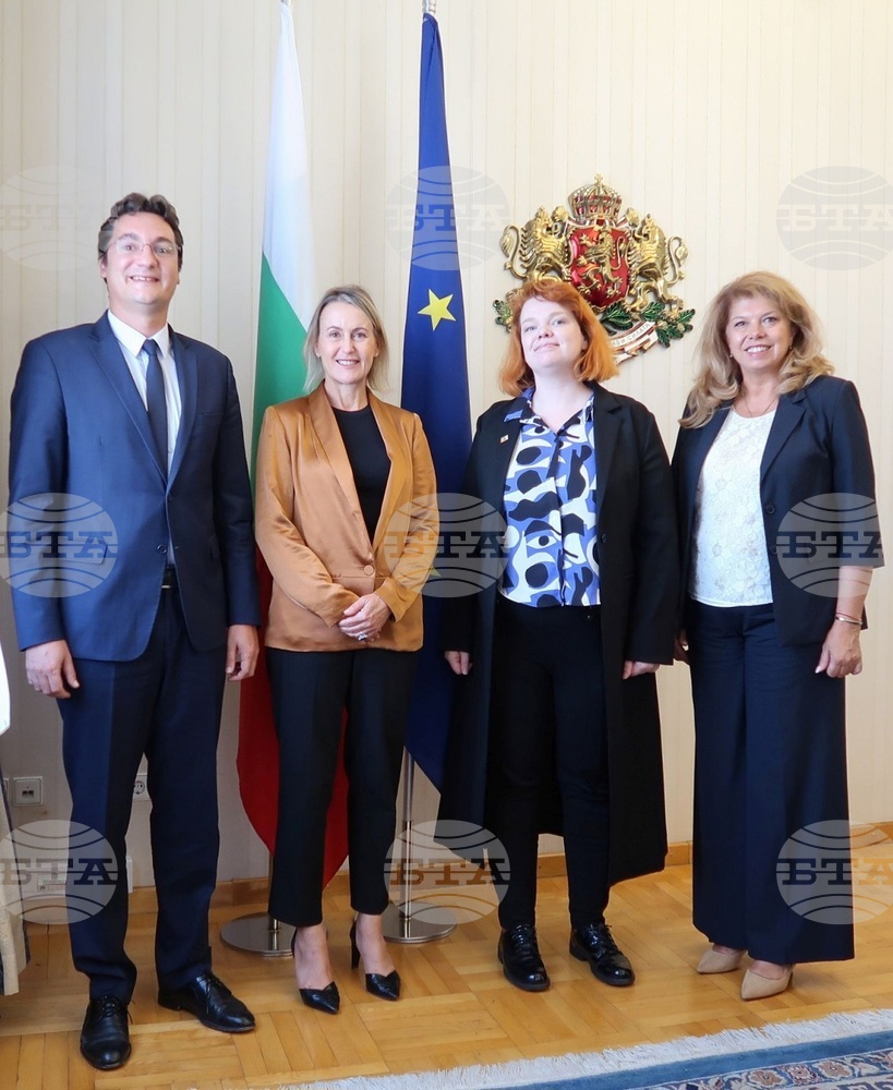 Вицепрезидентът разговаря с представители на Парламентарната асамблея на Съвета на Европа