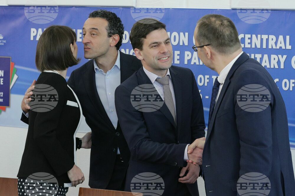Парламент - ПИЦЕИ - заседание
