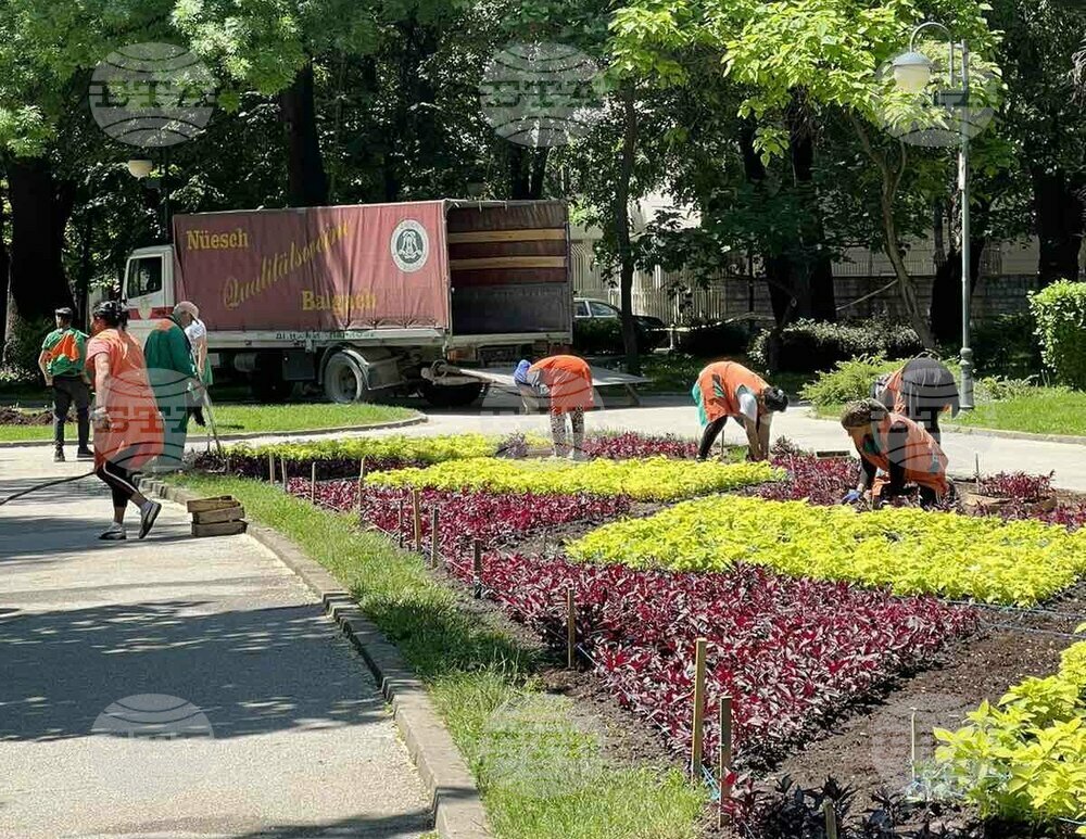 Цветни кошници и над 75 000 цветя ще красят Цар Симеоновата градина в Пловдив