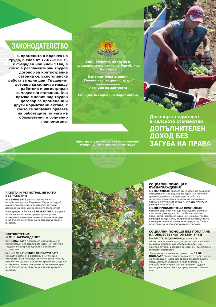 За четири месеца са констатирани 3428 нарушения на трудовото законодателство в селскостопанския сектор