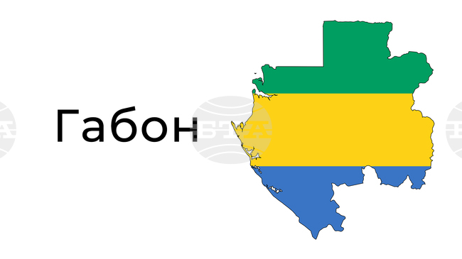 Земетресение с магнитуд 5,7 е било регистрирано в Габон, съобщи Европейско-средиземноморския сеизмологичен център