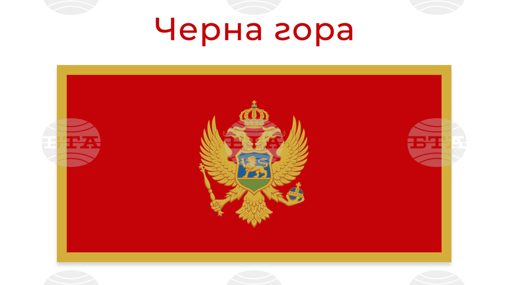 Президентът на Черна гора осъди заплахите срещу лидера на ислямската общност в страната след поредица от инциденти между турци и черногорци