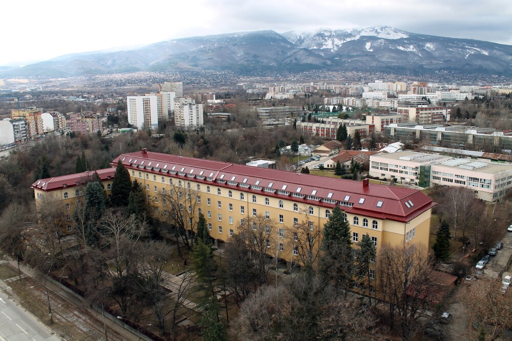 Forestry Sector in Bulgaria Is in Dire Straits, Forestry University Warns