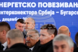 President Radev: Bulgaria-Serbia Gas Interconnector Is Guarantee for Diversification and Security