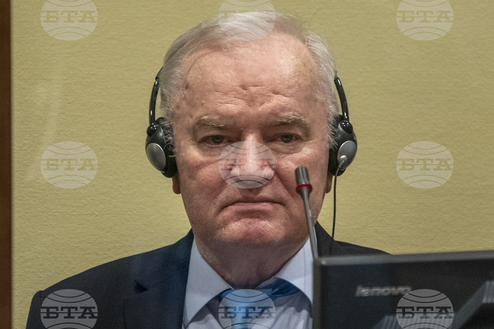 Босненският сръбски лидер Ратко Младич е подал искане за временно освобождаване от затвора по здравословни причини