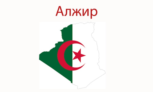 Четирима души загинаха при самолетна катастрофа на летище в Алжир, съобщават държавни медии