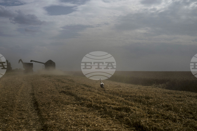 ЕК определи като неоправдани забраните за внос на хранителни продукти от Украйна