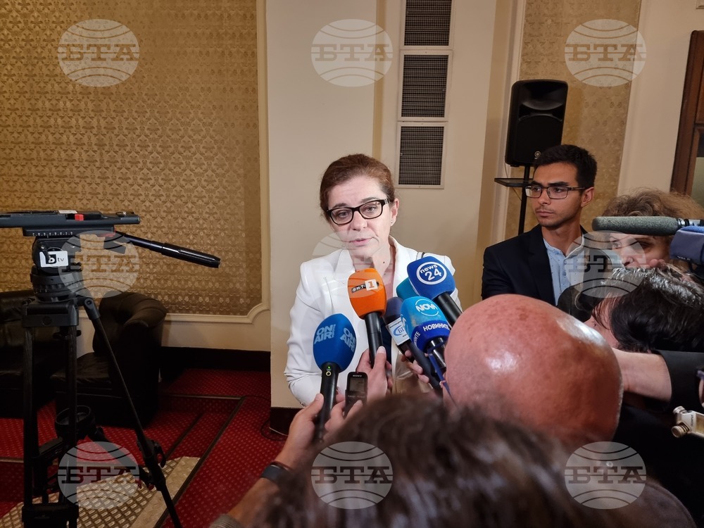 FM Genchovska: There Is No Second French Proposal