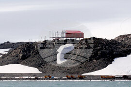 The Bulgarian naval research vessel Sv. Sv. Kiril i Metodii (RSV 421) crew and the logistics team at the Bulgarian Antarctic base clean the shore