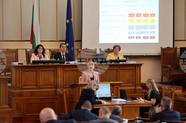 Омбудсманът Диана Ковачева призова депутатите да не се отказват от закона за колекторските фирми и да го обсъдят и на второ четене