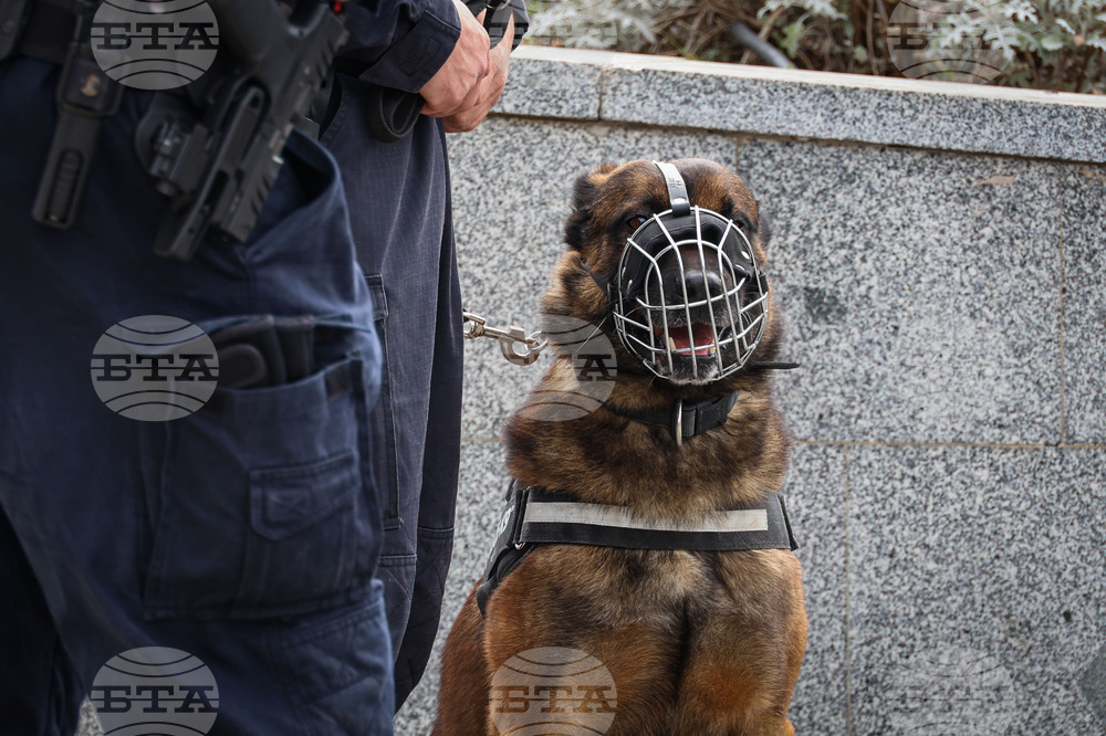From Puppies to Protectors: How Turkiye Trains Its Military Dogs for Combat and Rescue