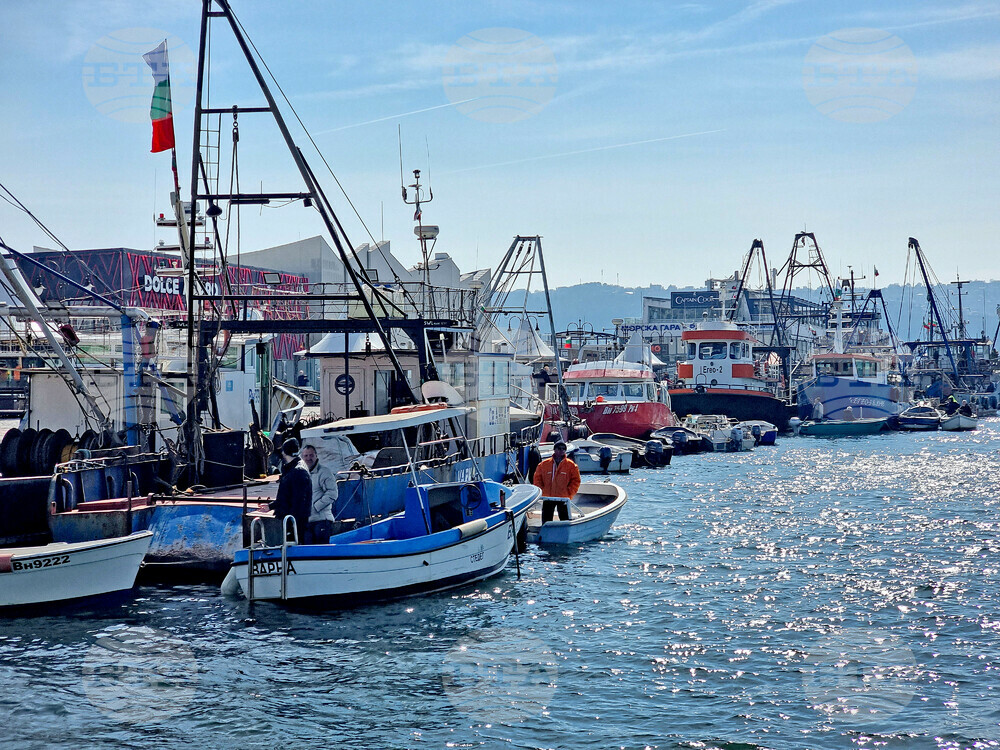 BTA :: Fishermen Protest Unregistered Fishing Sites in Varna