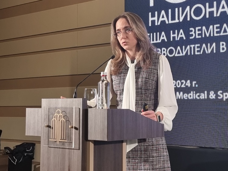 Зелената сделка вече е забавена, каза Снежана Благоева от Постоянното представителство на България в Брюксел
