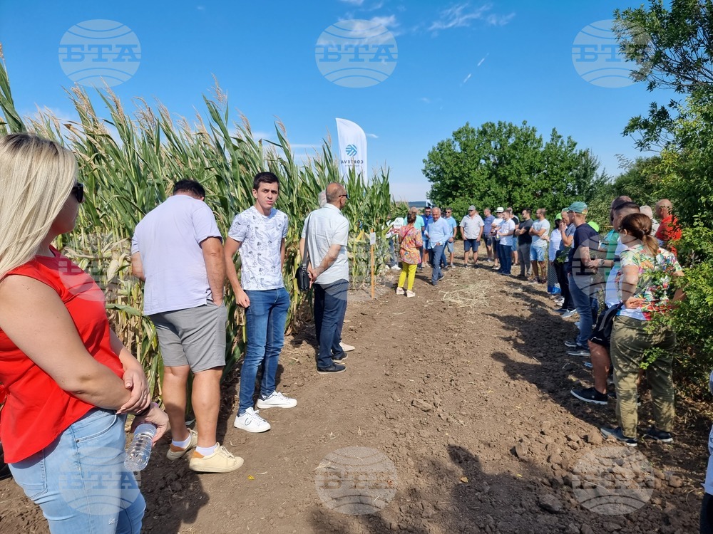 Ден на царевицата отново ще събере производители от цялата страна в Лозница