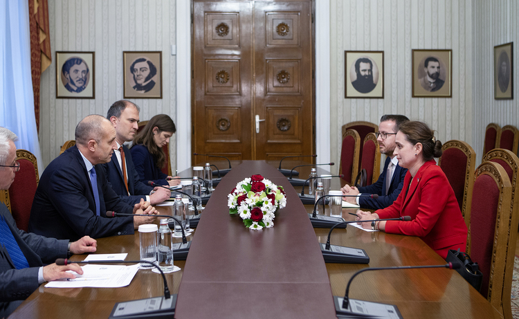 Президентът Румен Радев се срещна с новия ръководител на Представителството на Европейската комисия у нас Йорданка Чобанова