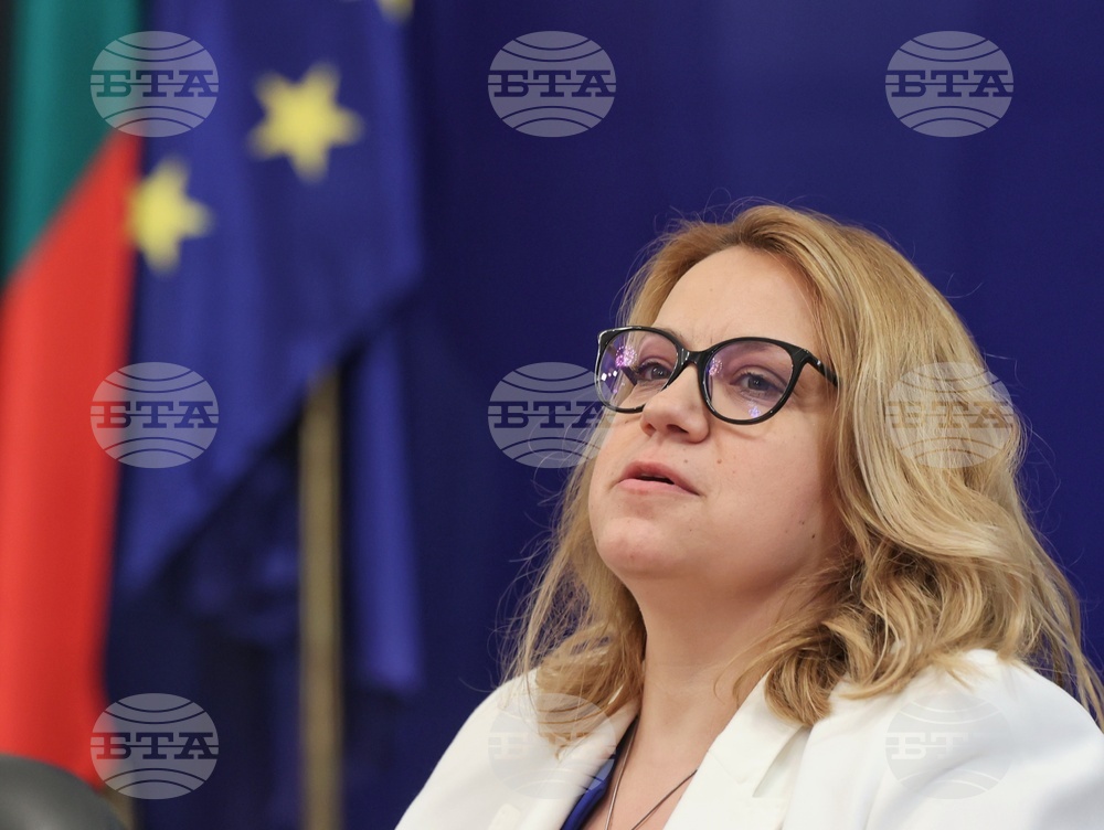 Bulgargaz Projects Nearly 30% Fall in February Natgas Price from January