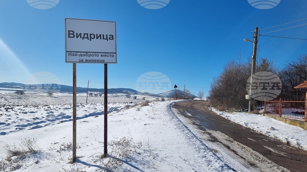 Нарколаборатория за отглеждане на марихуана е разкрита в брезнишкото село Видрица