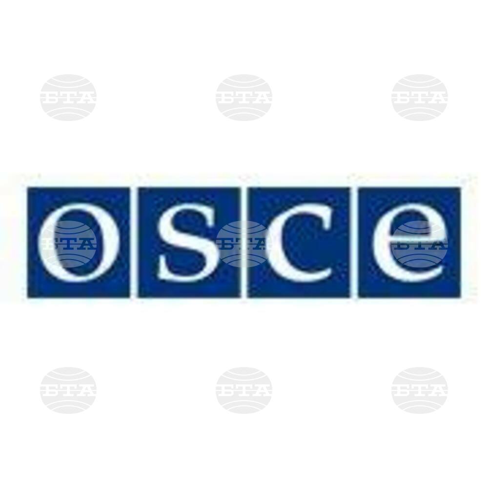 АПА: Северноирландка временно ще ръководи секретариата на Организацията за сигурност и сътрудничество в Европа
