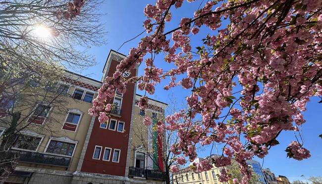 Община Хасково: Местни данъци и такси