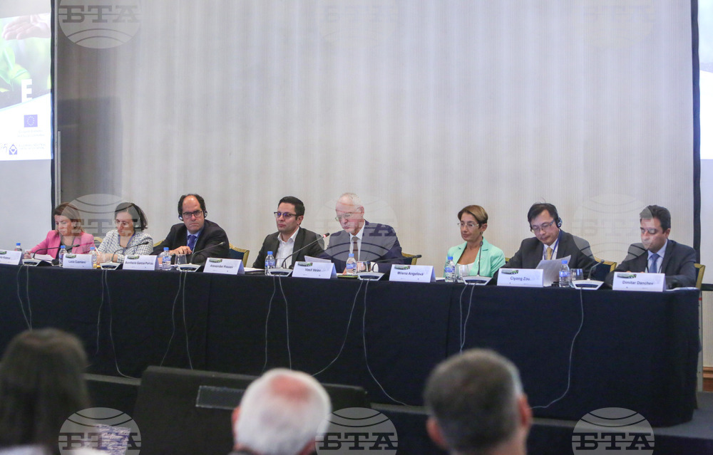 BICA Head Velev: SMEs Not Entirely Familiar with Impact of Climate-related Policies