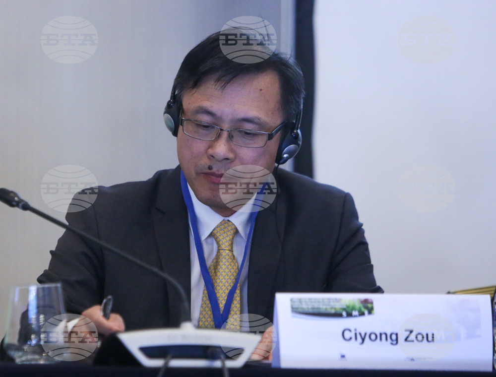 Ciyong Zou: Small and Medium-sized Businesses Account for over 90% of Production Globally