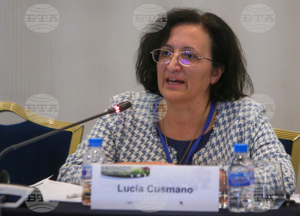 Green Transition Goals Cannot Be Achieved Unless SMEs Are Engaged - OECD Expert