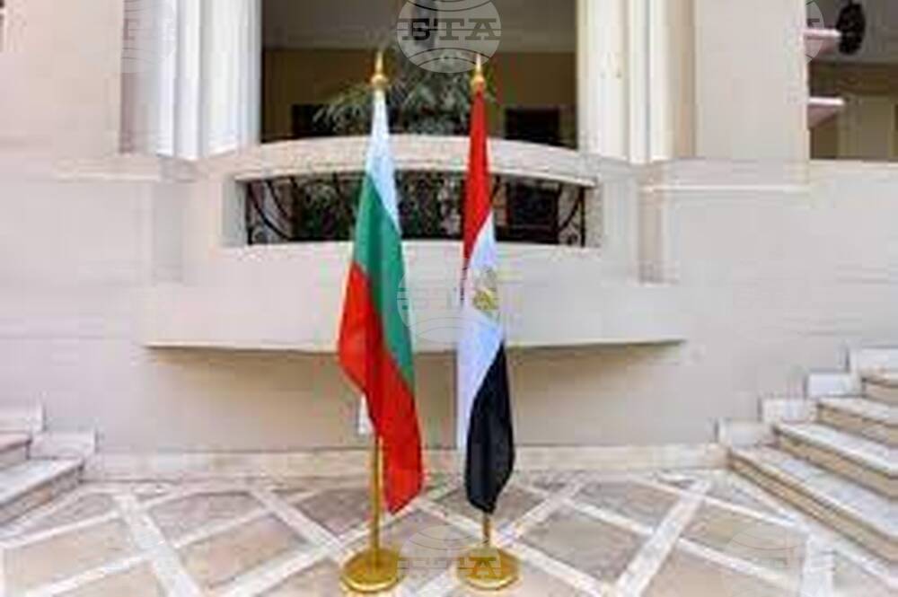 Presidents of Bulgaria, Egypt Consider Cooperation in Energy, Economy