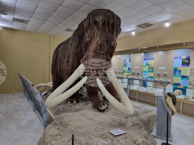 Преди 65 г. БТА съобщава за откриването на праисторическо жилище, строено с кости на мамут