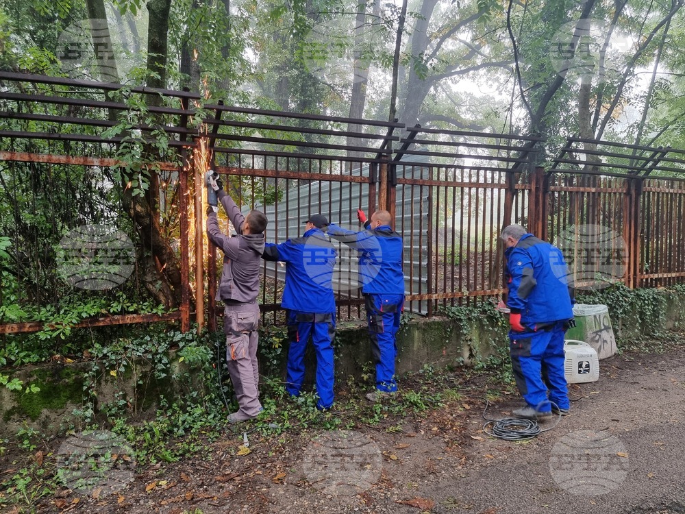 Започна премахването на оградата до къпалнята „Мария Луиза" в "Борисовата градина"
