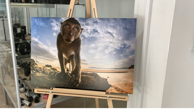 Фотографът Минко Михайлов представи красотата и колорита на Азия в едноименната си изложба в Казанлък