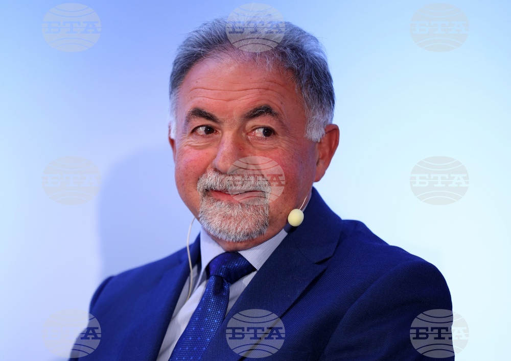 Electricity Prices Expected to Remain Stable after Full Liberalization of Electricity Market - Electrohold Bulgaria CEO