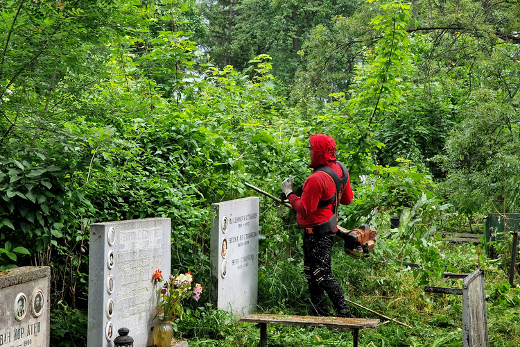 Започна мащабна акция по почистването на ОП “Гробищни паркове” в София, съобщи директорът Румен Димитров