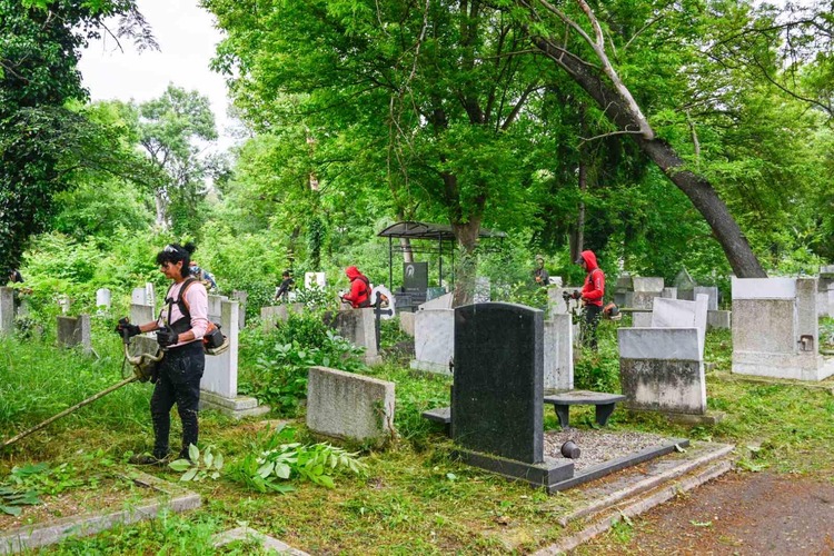 До 22 юни ще върнем нормалния облик на софийските гробищни паркове, заявява кметът на София Васил Терзиев