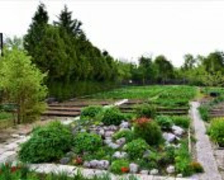 Ботаническата градина на БАН организира детски лагер, който ще разкрие тайните на медоносните растения