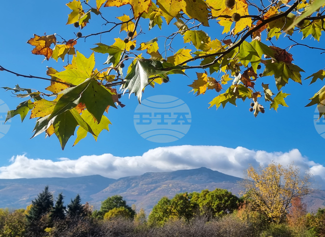 Прогноза за времето