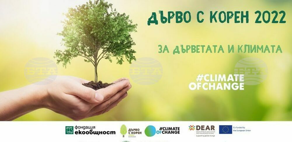 Чинар край Варна на 1051 години е големият победител в конкурса “Дърво с корен 2022“