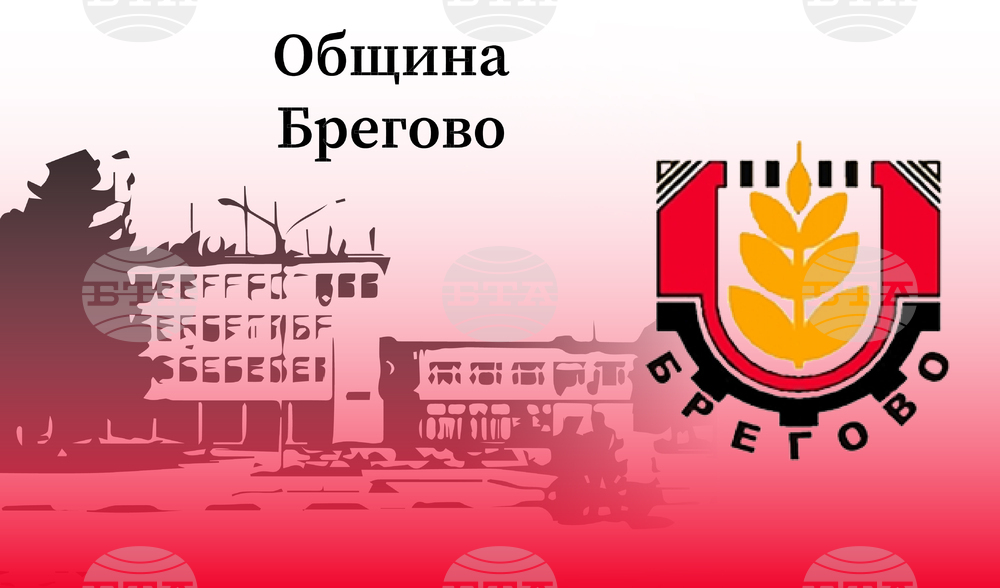 Община Брегово: Решение на Областния управител на област Видин